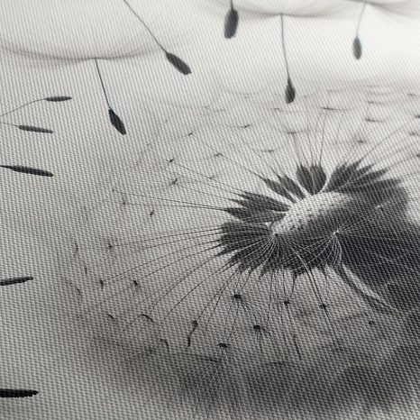 OBRAZ DETAIL PAMPELIŠKY - OBRAZY PAMPELIŠKA - OBRAZY