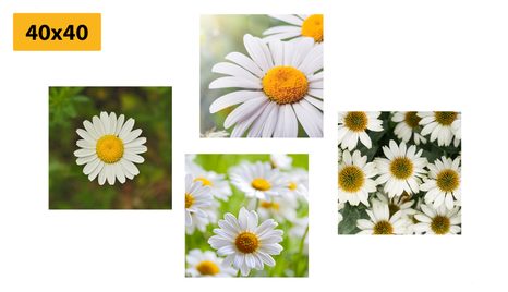 SET DI QUADRI – FIORI INCANTEVOLI - COLLEZIONI DI QUADRI - STAMPE E QUADRI