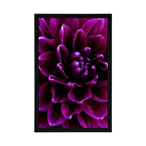 PLAGÁT PURPUROVO-FIALOVÝ KVET - KVETY - PLAGÁTY