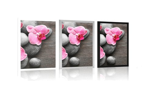 PLAKÁT ELEGANTNÍ KOMPOZICE S KVĚTINAMI ORCHIDEJE - FENG SHUI - PLAKÁTY