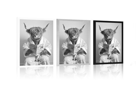 POSTER – MUCCA CON GIORNALI IN BAGNO - BUFALI E MUCCHE - POSTER