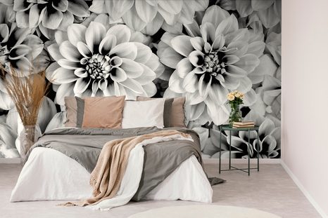 FOTOTAPETE DAHLIENBLUMEN IN SCHWARZ-WEISS - TAPETEN - 🔥 TOTALAUSVERKAUF