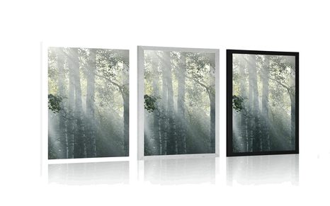 PLAGÁT SLNEČNÉ LÚČE V HMLISTOM LESE - PRÍRODA - PLAGÁTY