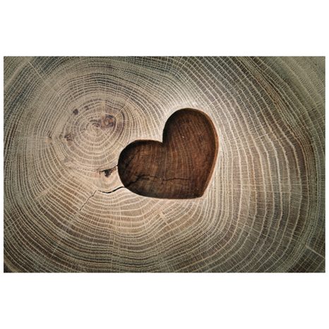 SELBSTKLEBENDE TAPETE SYMBOL DER LIEBE AUF HOLZ - SELBSTKLEBENDE TAPETEN - TAPETEN
