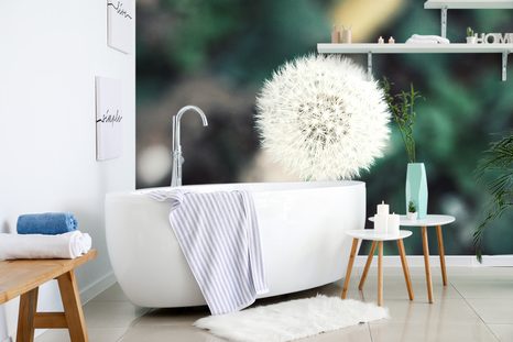 SAMOLEPÍCÍ FOTOTAPETA NADÝCHANÝ KLOBOUČEK PAMPELIŠKY - SAMOLEPÍCÍ TAPETY - TAPETY