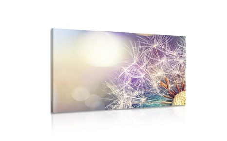 STAMPA SU TELA – VISTA DETTAGLIATA DEL DENTE DI LEONE - QUADRI DI FIORI - STAMPE E QUADRI