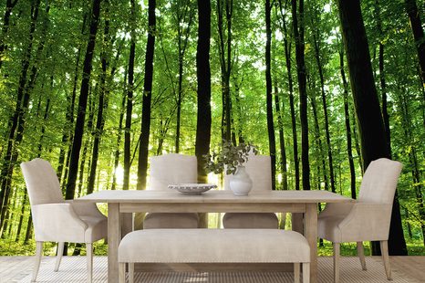 SAMOLEPÍCÍ FOTOTAPETA SVĚŽEST LESA - SAMOLEPÍCÍ TAPETY - TAPETY