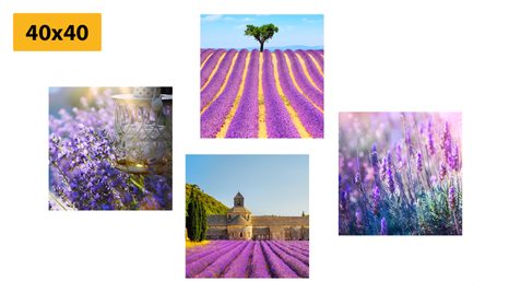 BILDER-SET LAVENDEL-REICHTUM - BILDERSETS - BILDER