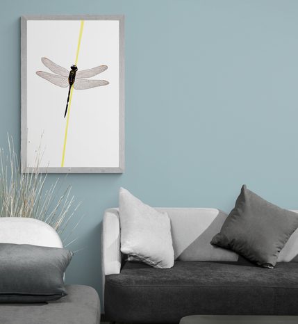 POSTER ZAUBER DER LIBELLE - MOTIVE AUS UNSERER WERKSTATT - POSTER