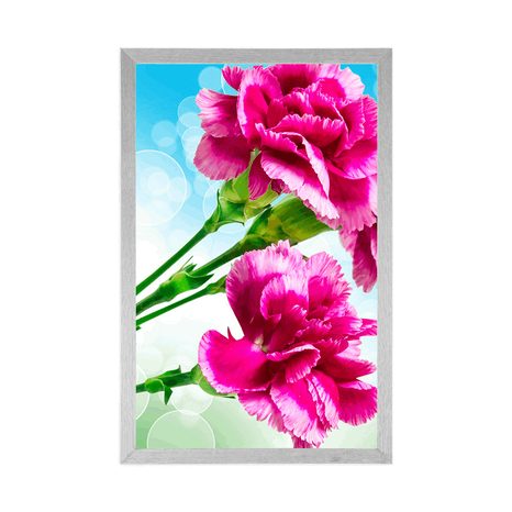 PLAKÁT KVĚT KARAFIÁTU - KVĚTINY - PLAKÁTY