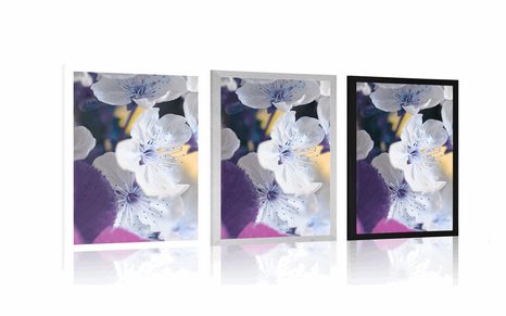 PLAKÁT KVETOUCÍ VĚTVIČKA TŘEŠNĚ - KVĚTINY - PLAKÁTY