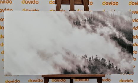 КАРТИНА НА ПЛАТНО – ЧЕРНО-БЯЛА МЪГЛИВА ГОРА - ЧЕРНО-БЕЛИ КАРТИНИ - КАРТИНИ