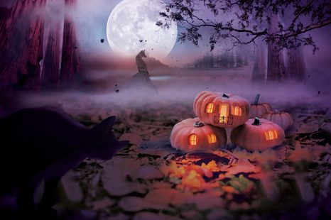 SAMOLEPÍCÍ TAPETA DÝNĚ V TAJEMNÉM LESE - SAMOLEPÍCÍ TAPETY - TAPETY