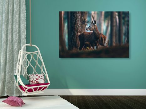 SLIKA JELEN V BOROVEM GOZDU - SLIKE ŽIVALI - SLIKE
