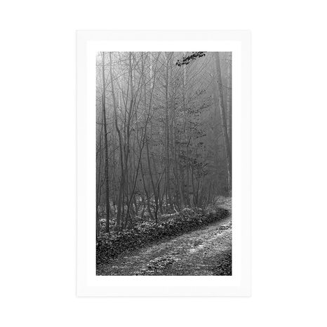 AFFICHE – CHEMIN VERS LA FORÊT EN NOIR ET BLANC - NOIR ET BLANC - AFFICHES