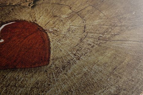 CANVAS PRINT HEART ON A STUMP - PICTURES OF NATURE AND LANDSCAPE - PICTURES