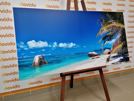 OBRAZ PLAŻA ANSE SOURCE - OBRAZY - 🔥 TOTALNA WYPRZEDAŻ