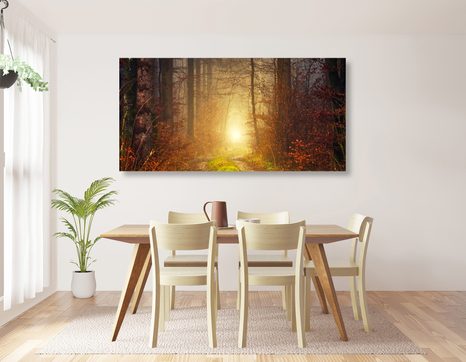 OBRAZ SVĚTLO V LESE - OBRAZY PŘÍRODY A KRAJINY - OBRAZY