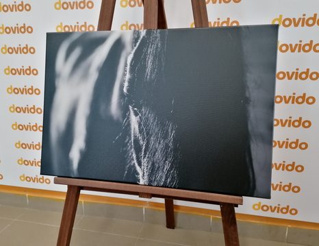 KÉP FENSÉGES LÓ FEKETE FEHÉRBEN - FEKETE-FEHÉR KÉPEK - KÉPEK