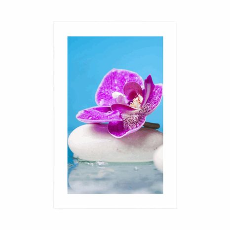 POSTER – ORCHIDEA E PIETRE ZEN - FENG SHUI - POSTER