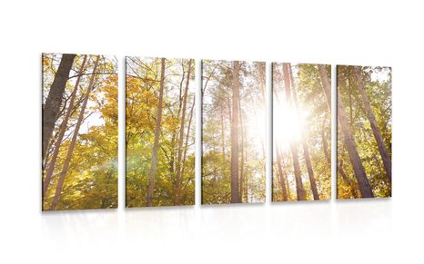 5 PART PICTURE FOREST IN AUTUMN COLORS