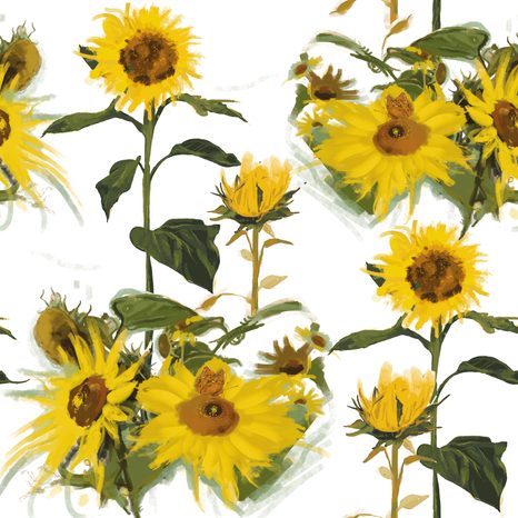 CARTA DA PARATI – GIRASOLI SU SFONDO BIANCO - CARTA DA PARATI CON FIORI - CARTA DA PARATI