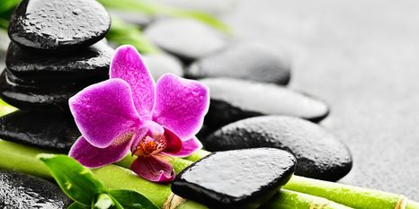 QUADRO SU TELA – NATURA MORTA PER IL BENESSERE CON ORCHIDEA VIOLA - QUADRI FENG SHUI - STAMPE E QUADRI