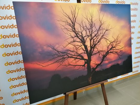 КАРТИНА НА ПЛАТНО – ПРЕКРАСНО ДЪРВО НА ЛИВАДАТА - КАРТИНИ НА ПРИРОДАТА И ПЕЙЗАЖИ - КАРТИНИ