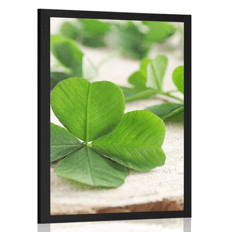 POSTER GREEN FOUR-LEAVE CLOVERS - NATURE - POSTERS