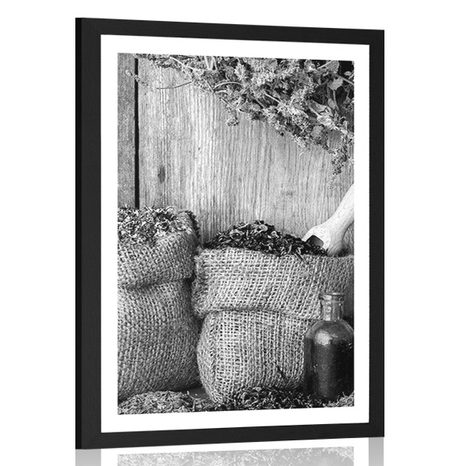 POSTER WITH MOUNT MEDICINAL HERBS IN BLACK AND WHITE - BLACK AND WHITE - POSTERS