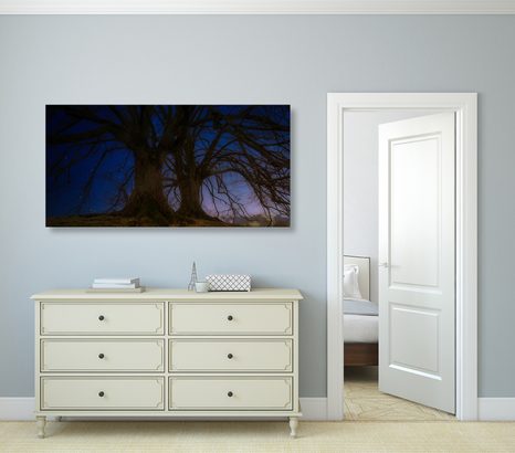 КАРТИНА НА ПЛАТНО – ДЪРВЕТА В НОЩНАТА ЗЕМЯ - КАРТИНИ НА ПРИРОДАТА И ПЕЙЗАЖИ - КАРТИНИ