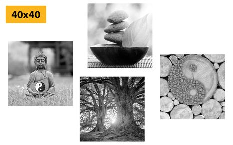 SET OBRAZŮ V ČERNOBÍLÉM STYLU FENG SHUI - SESTAVY OBRAZŮ - OBRAZY