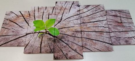 TABLOU 5-PIESE NAȘTERIE UNEI NOI VIEȚI - TABLOURI CU COLȚURI DE LINIȘTITE - TABLOURI