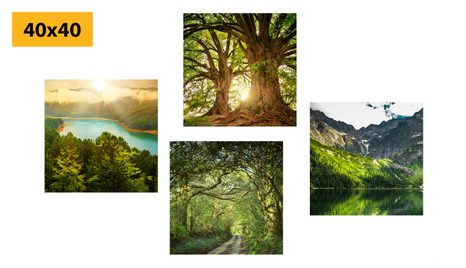 SET OBRAZŮ NÁDHERNÁ ZELENÁ PŘÍRODA - SESTAVY OBRAZŮ - OBRAZY