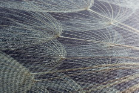 SLIKA JUTRANJA ROSA NA REGRATOVI LUČKI - SLIKE ROŽ - SLIKE