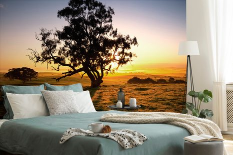 SAMOLEPÍCÍ FOTOTAPETA STROM PŘI ZÁPADU SLUNCE - SAMOLEPÍCÍ TAPETY - TAPETY