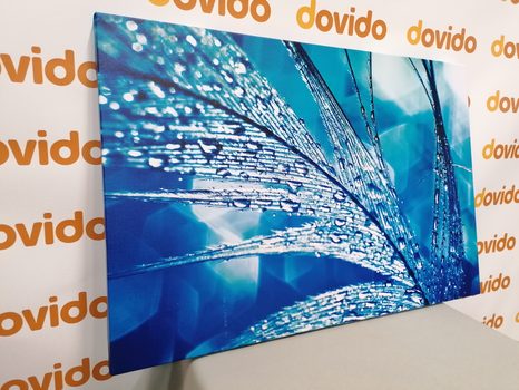 WANDBILD MORGENTAUTROPFEN - STILLLEBEN-BILDER - BILDER