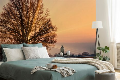 SAMOLEPÍCÍ FOTOTAPETA KONĚ V ZASNĚŽENÉ KRAJINĚ - SAMOLEPÍCÍ TAPETY - TAPETY