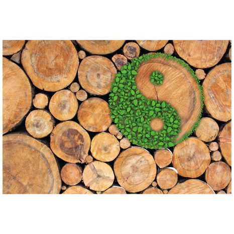 SAMOLEPÍCÍ FOTOTAPETA JIN A JANG V EKO PROVEDENÍ - SAMOLEPÍCÍ TAPETY - TAPETY