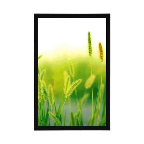 POSTER – STELI D'ERBA IN VERDE - NATURA - POSTER