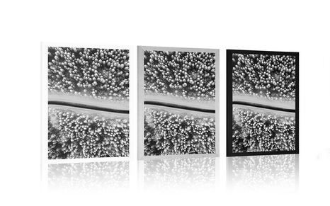 PLAKÁT POHLED NA ZIMNÍ KRAJINU V ČERNOBÍLÉM PROVEDENÍ - ČERNOBÍLÉ - PLAKÁTY