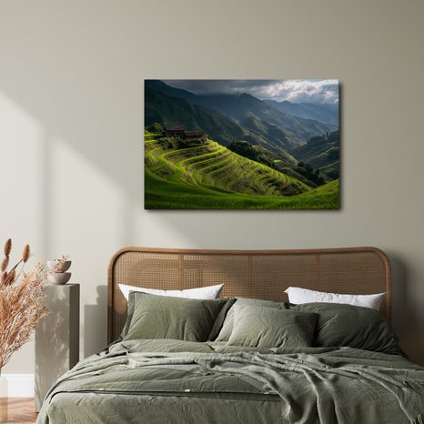 WANDBILD GRÜNE REISTERRASSEN - WANDBILDER FELDER UND WIESEN - BILDER