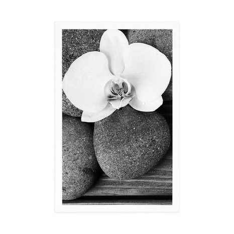 POSTER WELLNESS-STEINE UND ORCHIDEE AUF HÖLZERNEM HINTERGRUND IN SCHWARZ-WEISS - SCHWARZ-WEISS - POSTER
