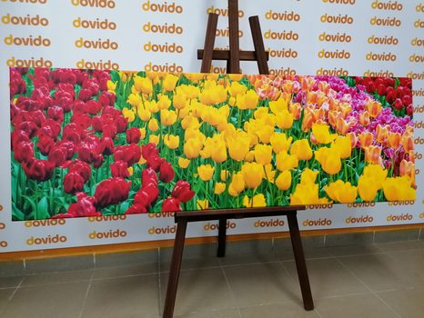 КАРТИНА НА ПЛАТНО – ГРАДИНА ПЪЛНА С ЛАЛЕТА - КАРТИНИ С ЦВЕТЯ - КАРТИНИ