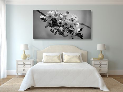 WANDBILD BLÜHENDER KIRSCHBLÜTENZWEIG IN SCHWARZ-WEISS - SCHWARZ-WEISSE BILDER - BILDER