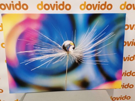 OBRAZ KVAPKA ROSY NA FAREBNOM POZADÍ - OBRAZY KVETOV - OBRAZY