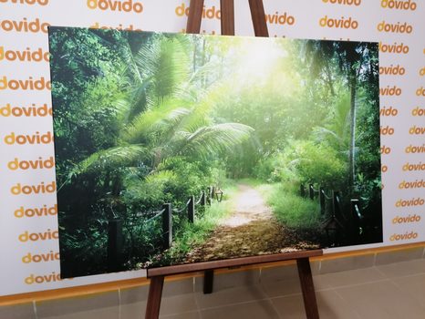 WANDBILD WEG AUF DEN SEYCHELLEN - BILDER VON NATUR UND LANDSCHAFT - BILDER