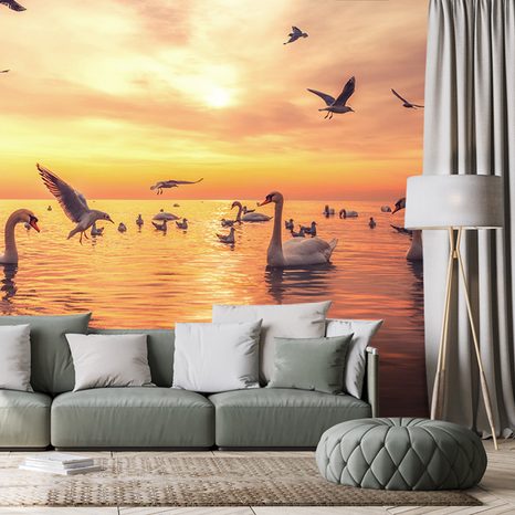 WALLPAPER SWANS IN THE LAKE - WALLPAPERS ANIMALS - WALLPAPERS