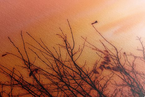 TABLOU CERUL COLORAT - TABLOU NATURĂ ȘI PEISAJE NATURALE - TABLOURI