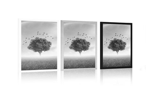 POSTER – ALBERO SOLITARIO SUL PRATO IN BIANCO E NERO - NERO E BIANCO - POSTER